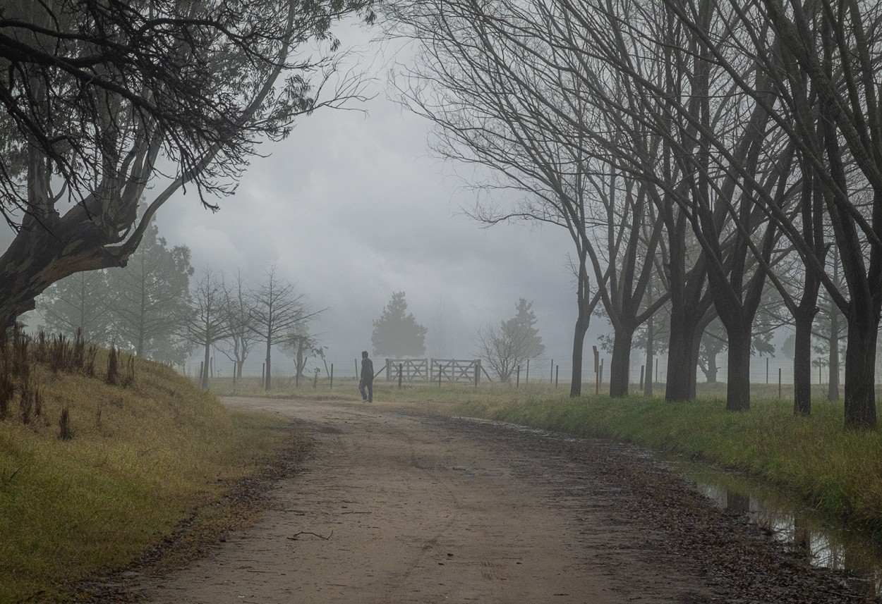 "Una maana de invierno en primavera" de Fernando Valdez Vazquez