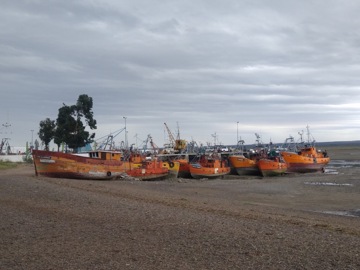 "El muelle seco" de Daniela Palma