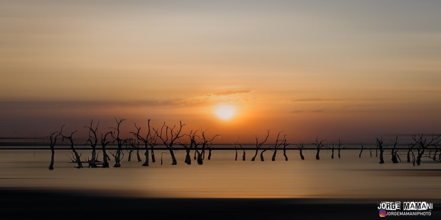 "Lago Epecuen" de Jorge Mamani