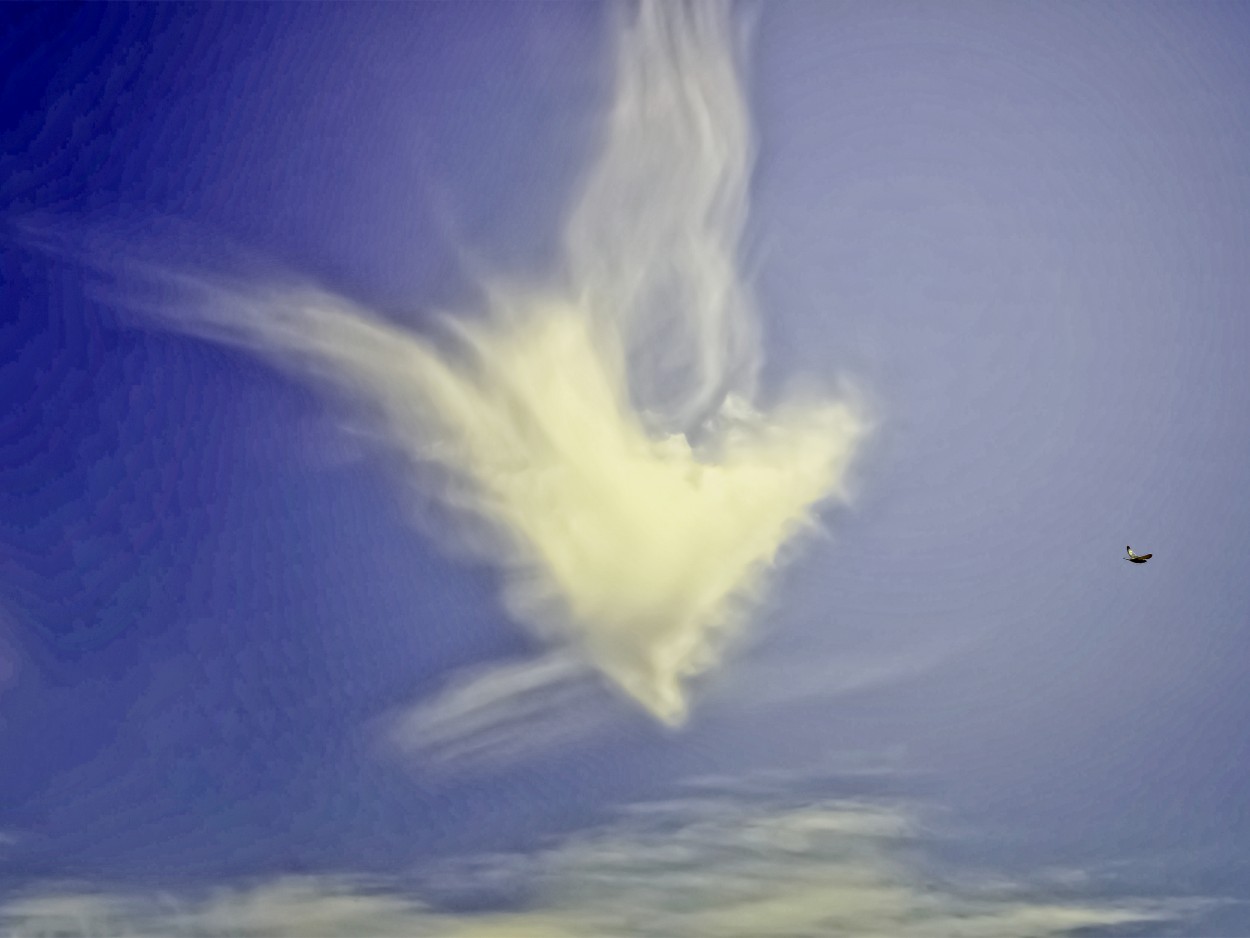 "La nube..." de Cristina Wnetrzak