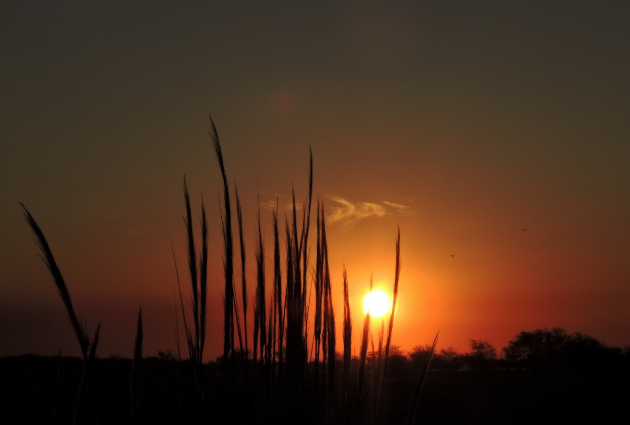 "Atardecer en Canning" de Silvia Olliari