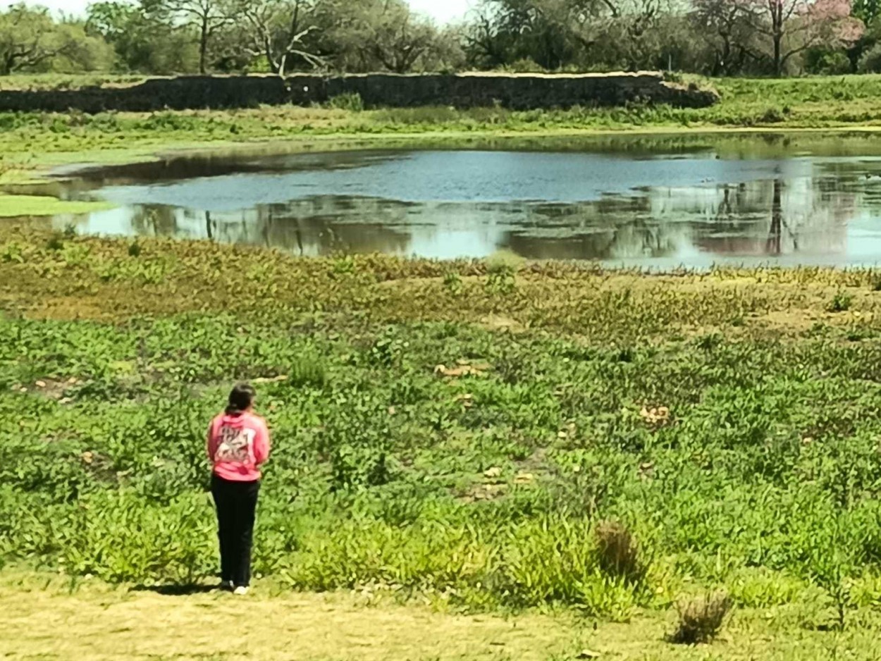 "Observando" de Vernica Galeano