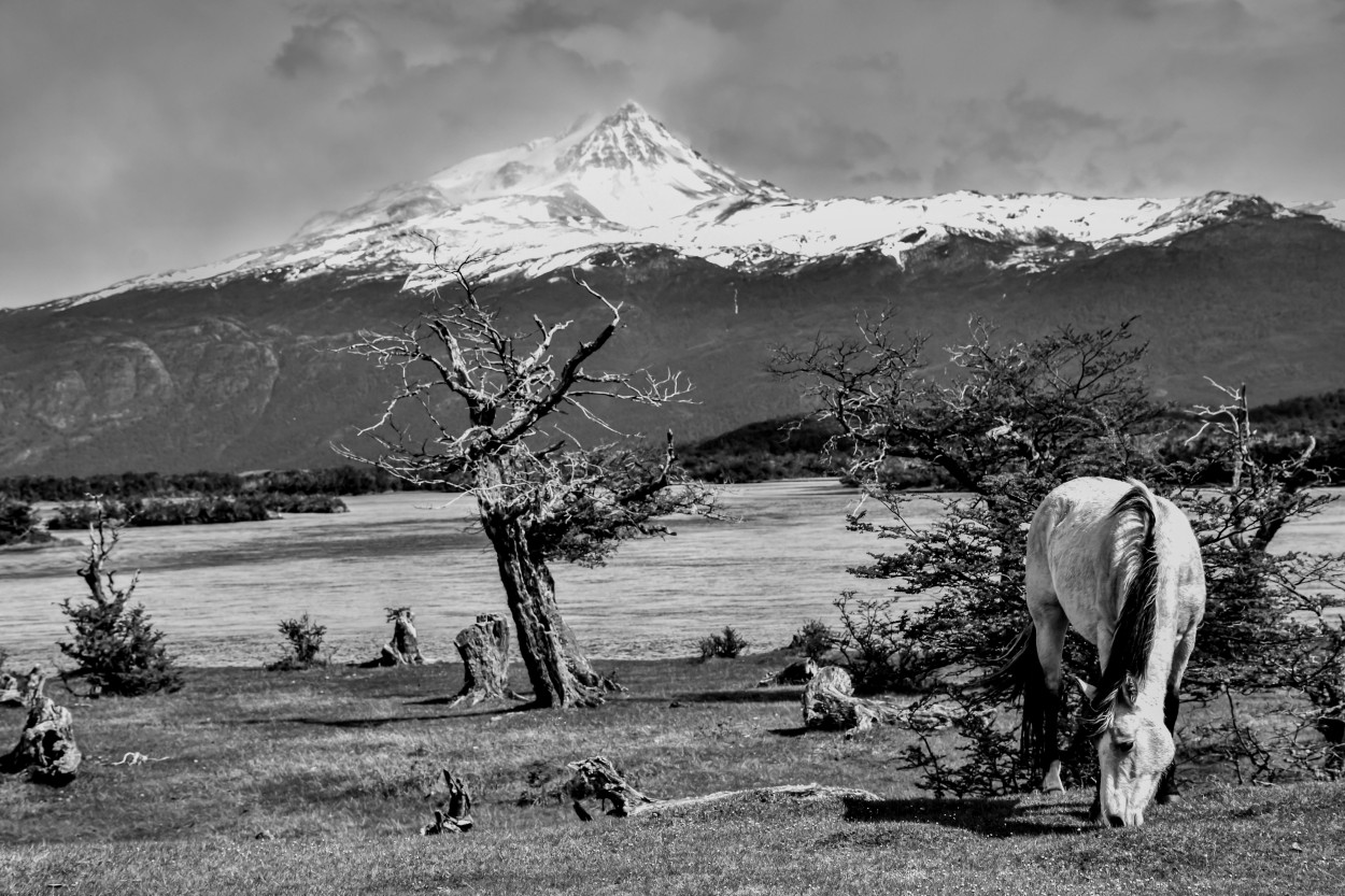 "A Orillas del Lago" de Daniel Oliveros