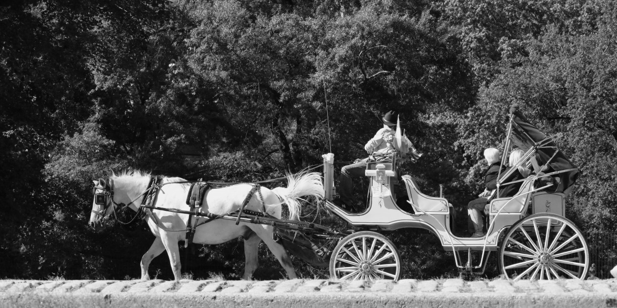 "El coche blanco." de Francisco Luis Azpiroz Costa