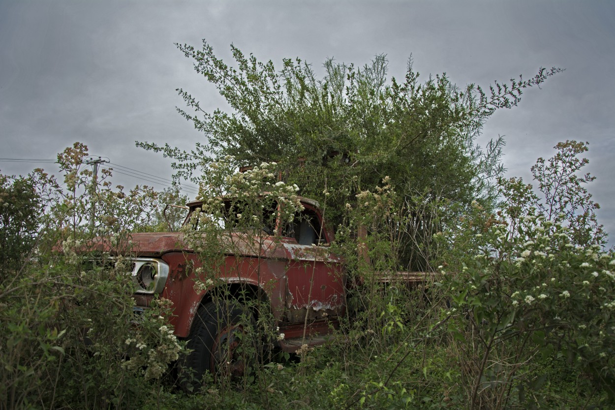 "Vivero oxidado" de Claudia Martino