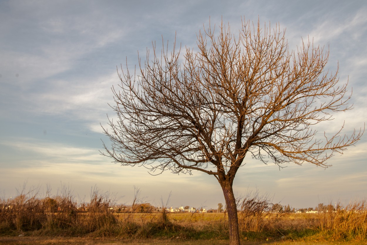 "Aire de campo" de Mara Andreadiaz