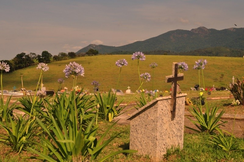 "Aps Finados, o ` after day `, olhar, clicar ler" de Decio Badari