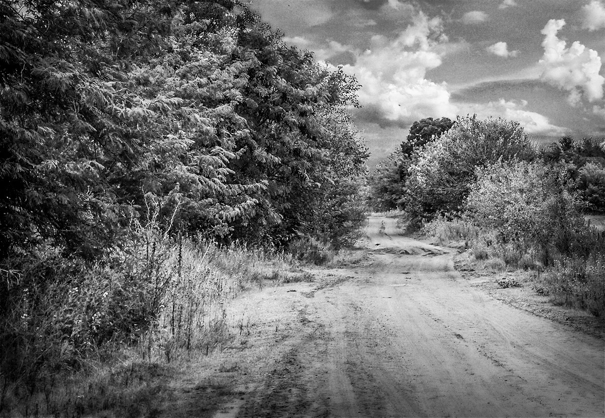 "Camino a las nubes" de Fernando Valdez Vazquez