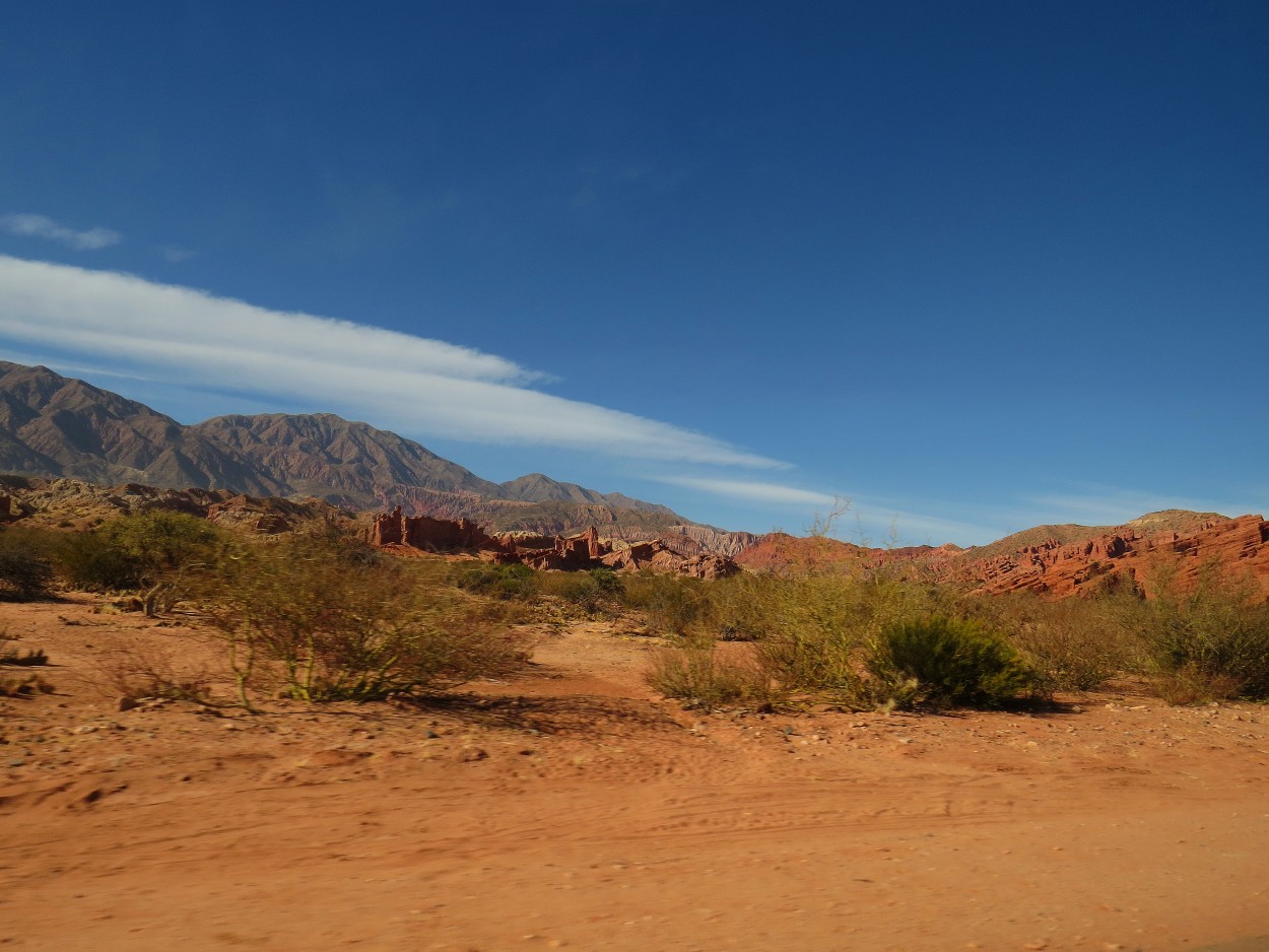 "`Paisaje jujeo`" de Iris Elizabeth Scotto