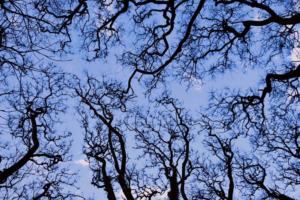 "El cielo desde ac" de Mabel Ciaffone