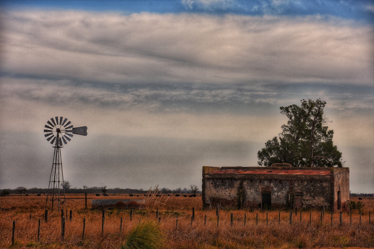 "Pisaje rural.." de Claudio Romano
