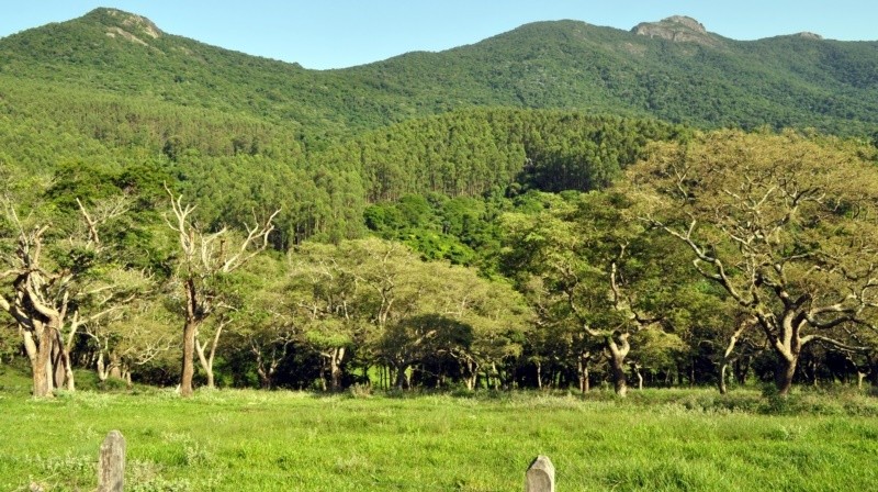 "Uma pausa na vicinal `Serras e guas,...ler" de Decio Badari