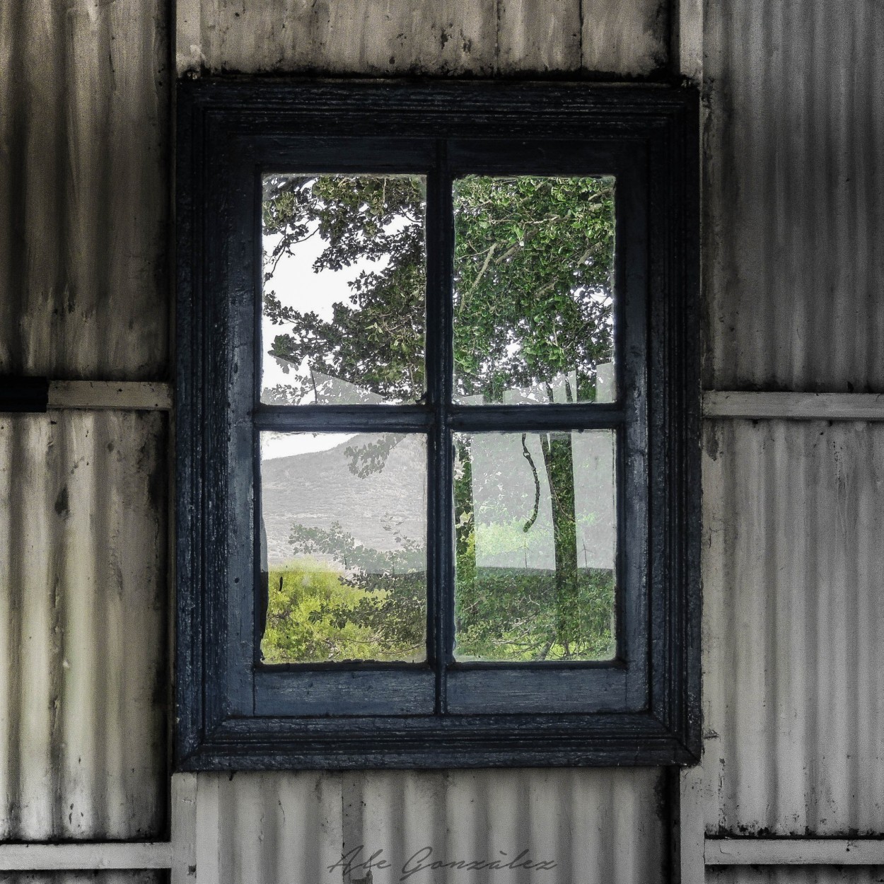 "La ventana" de Ale Gonzlez