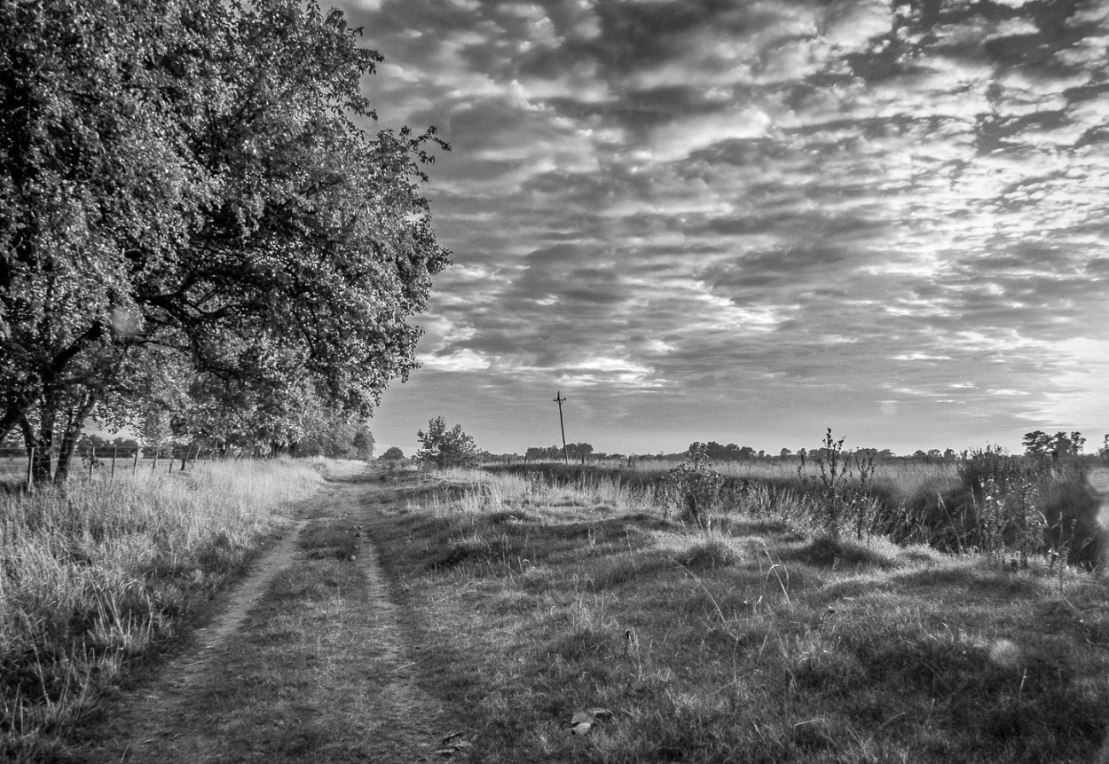 "Amanece en blanco y negro" de Fernando Valdez Vazquez