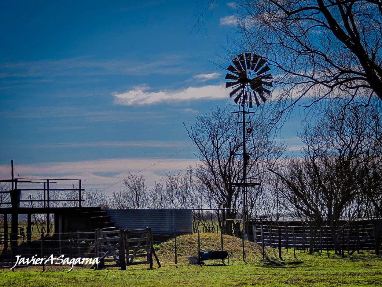 "Campo Argetino" de Javier Andrs Sagarna