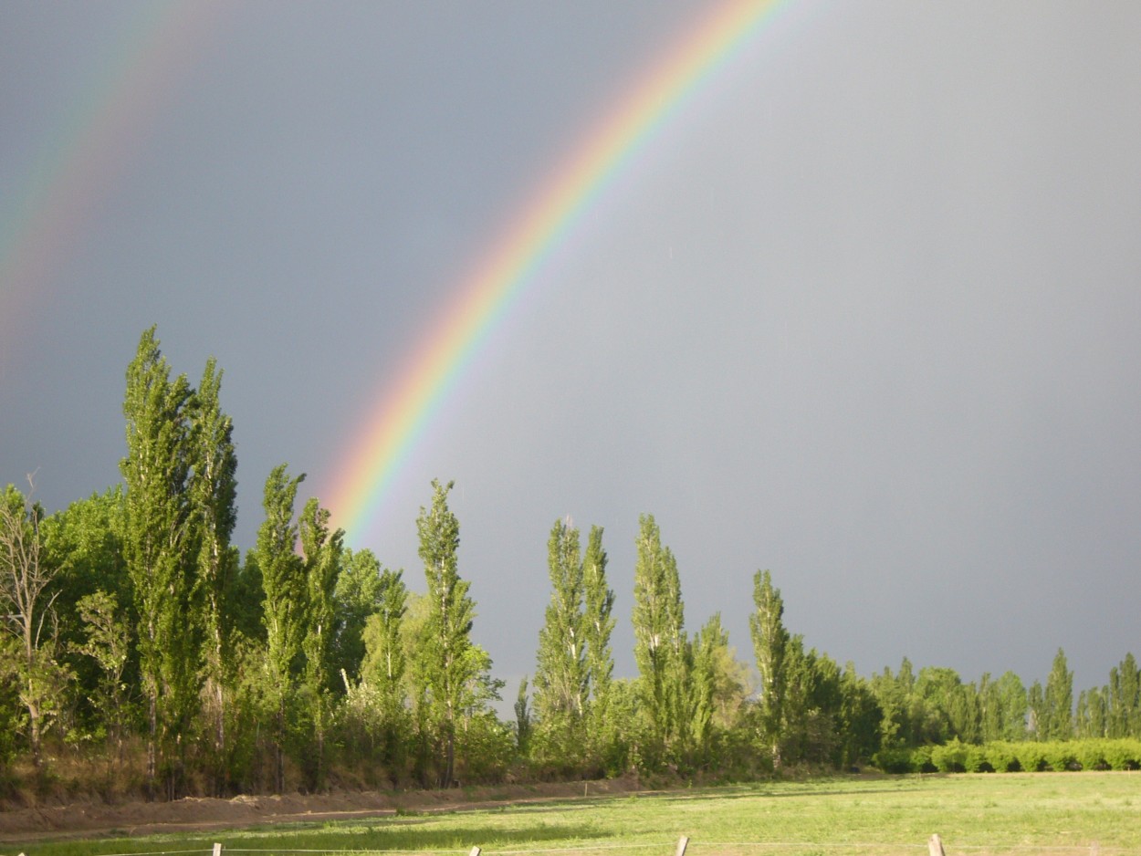 "Arco iris" de Marcelo Sauer