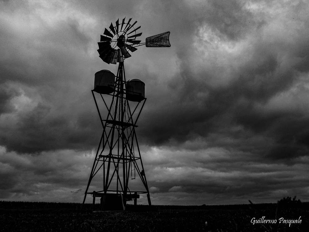 "Esperando el viento" de Guillermo Daniel Pasquale