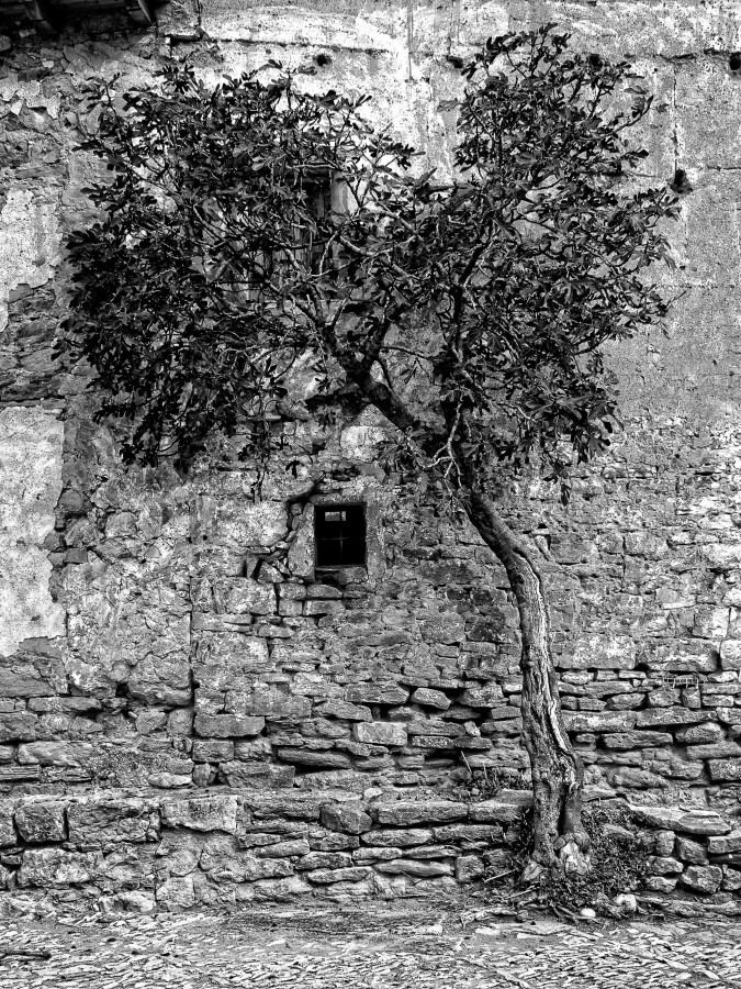 "Ermitorio de San Marcos. Olocau del rey, Castelln" de Juan Beas