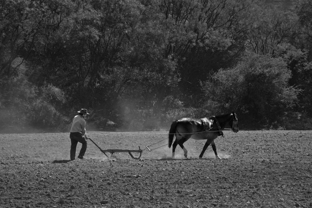 "Trabajando la tierra" de Osvaldo Sergio Gagliardi