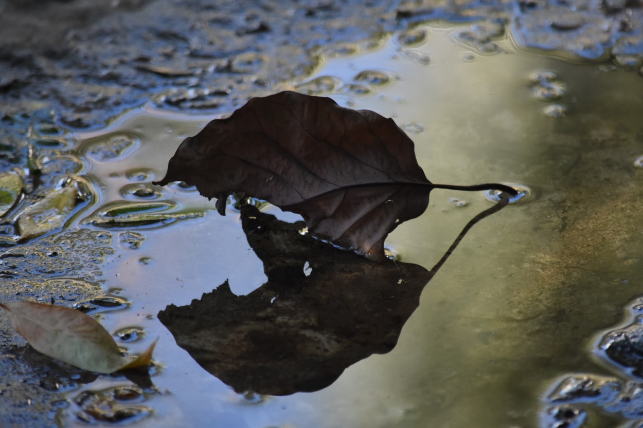 "Reflejo" de Lorena Irigoy