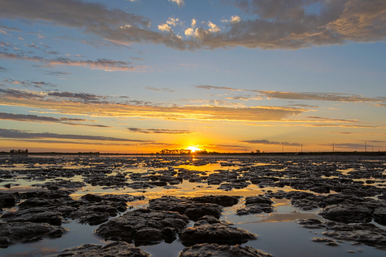 "Color Atardecer" de Carlos Greco