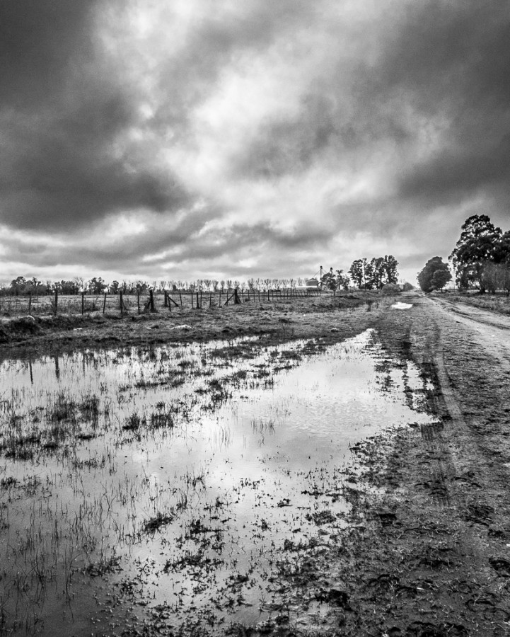 "Quin parar la lluvia" de Fernando Valdez Vazquez