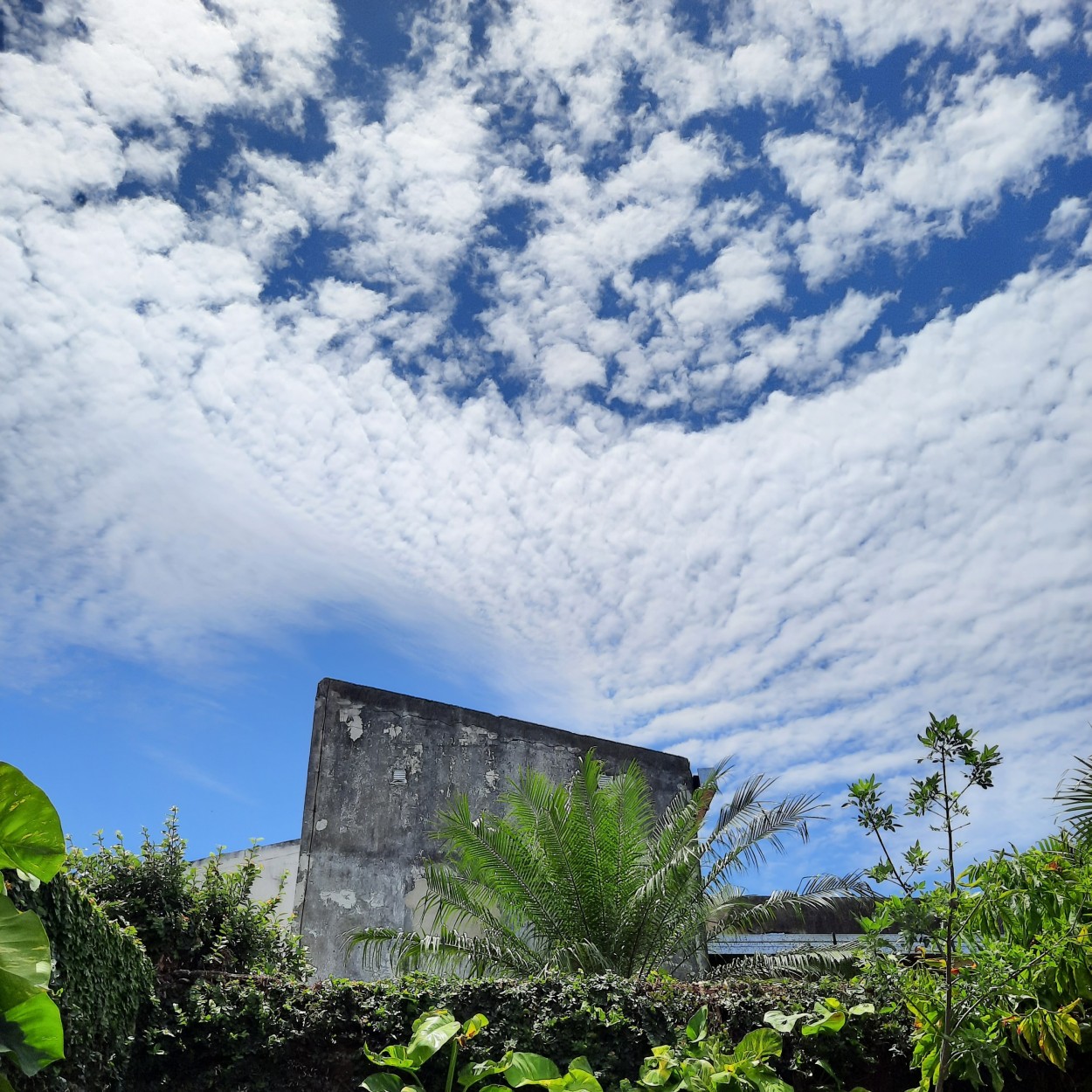 "Juego d nubes" de Ana Piris