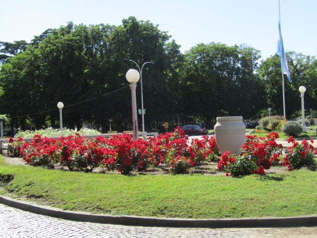 "Rosas rojas" de Miguel Angel Palermo