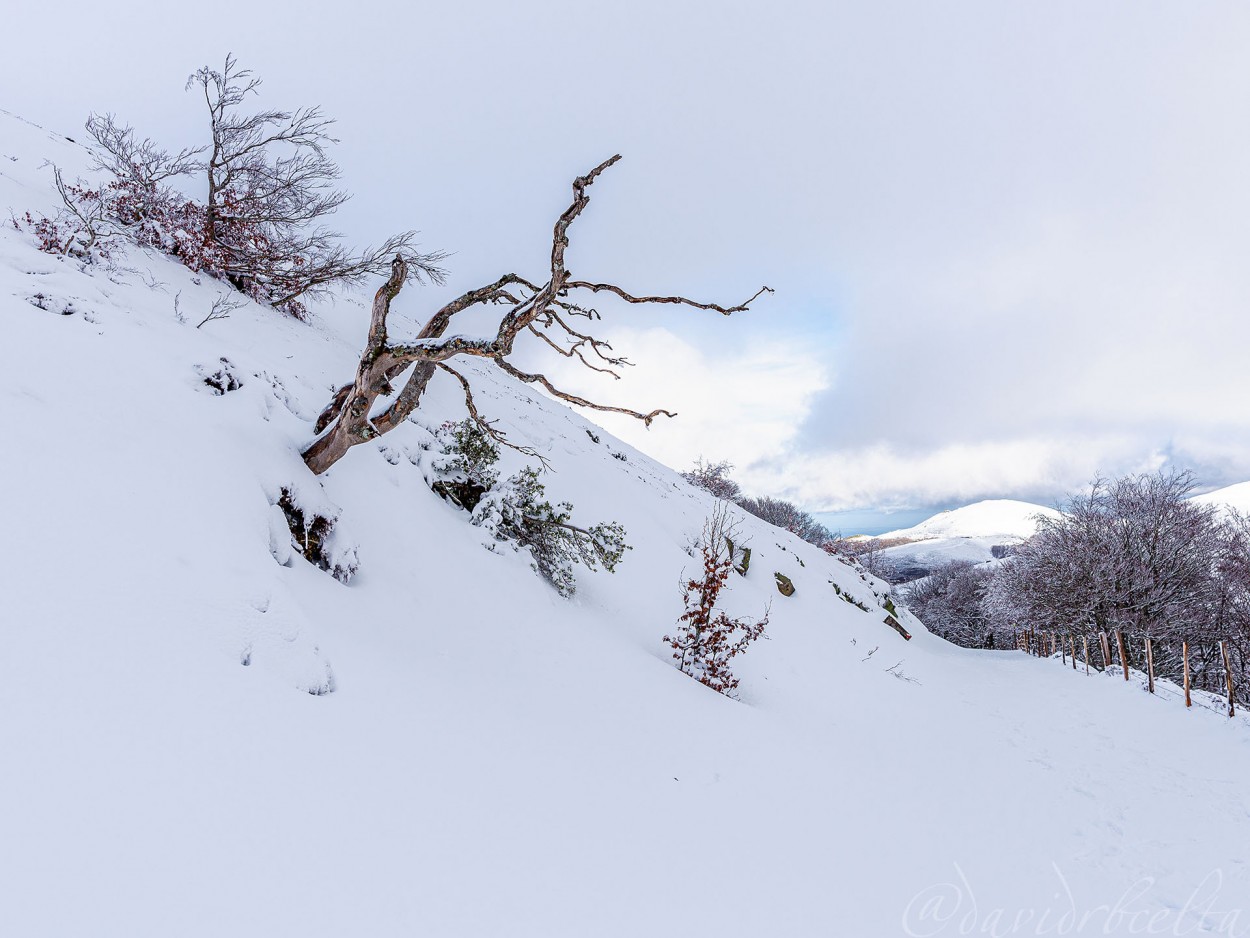 "Camins del GR11 - Roncesvalles" de David Roldn