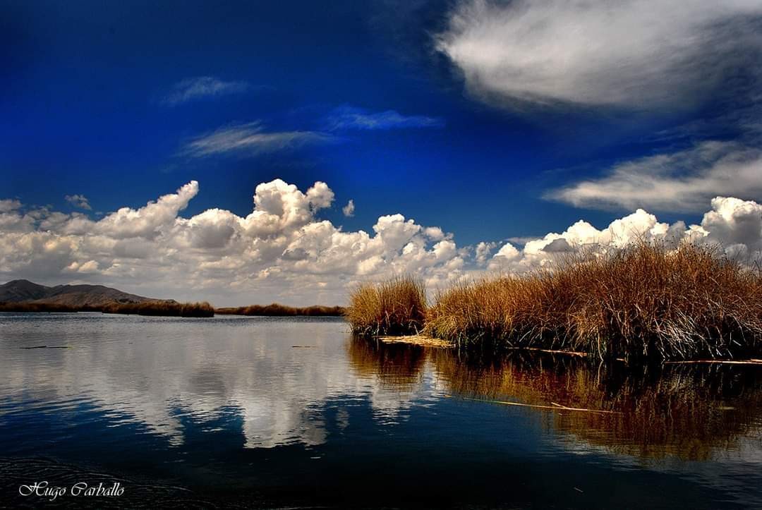 "Pantano" de Hugo Carballo (oxido)