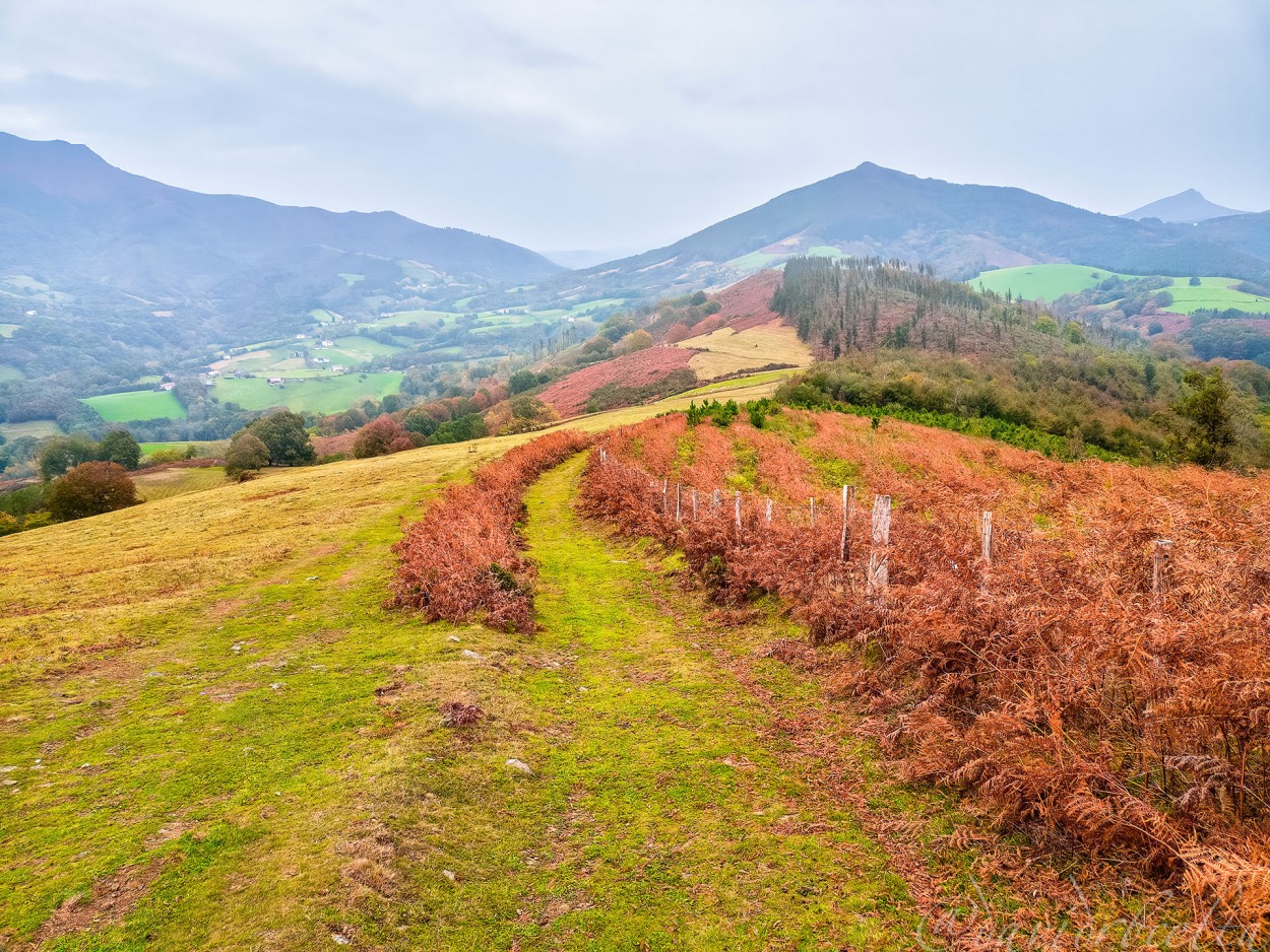 "Camins del GR11 - Larrate Gaina, Nafarroa" de David Roldn