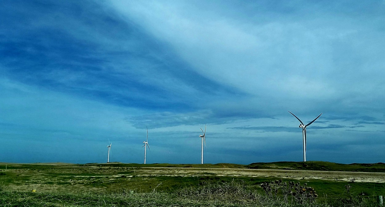 "Contra viento y tormenta" de Patricia Sallete