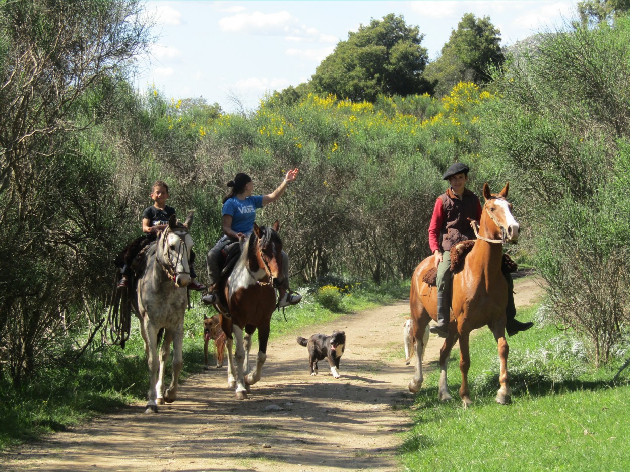 "De a caballo" de Miguel Angel Palermo