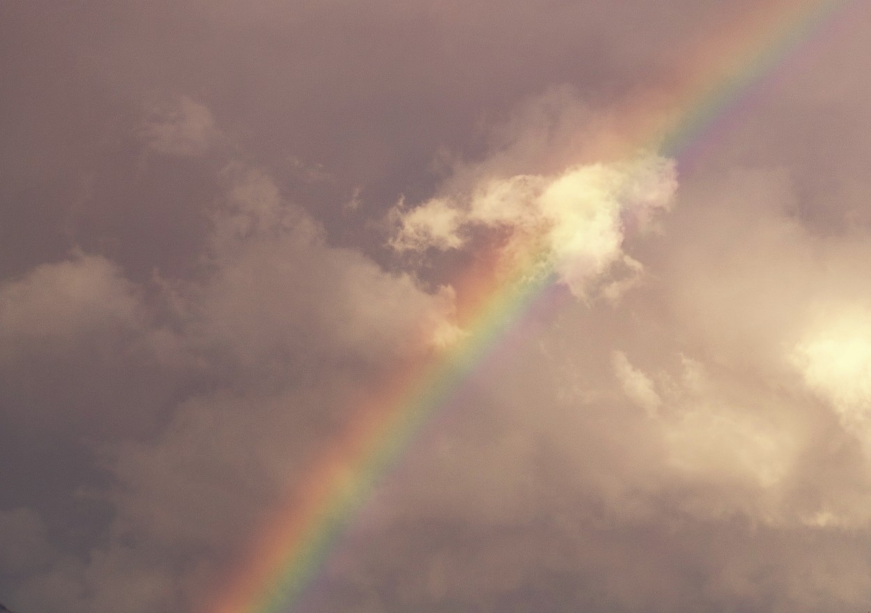 "Ms all del arco iris" de Cecilia Mazurenco