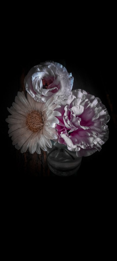"Flores." de Luisa Har Almada