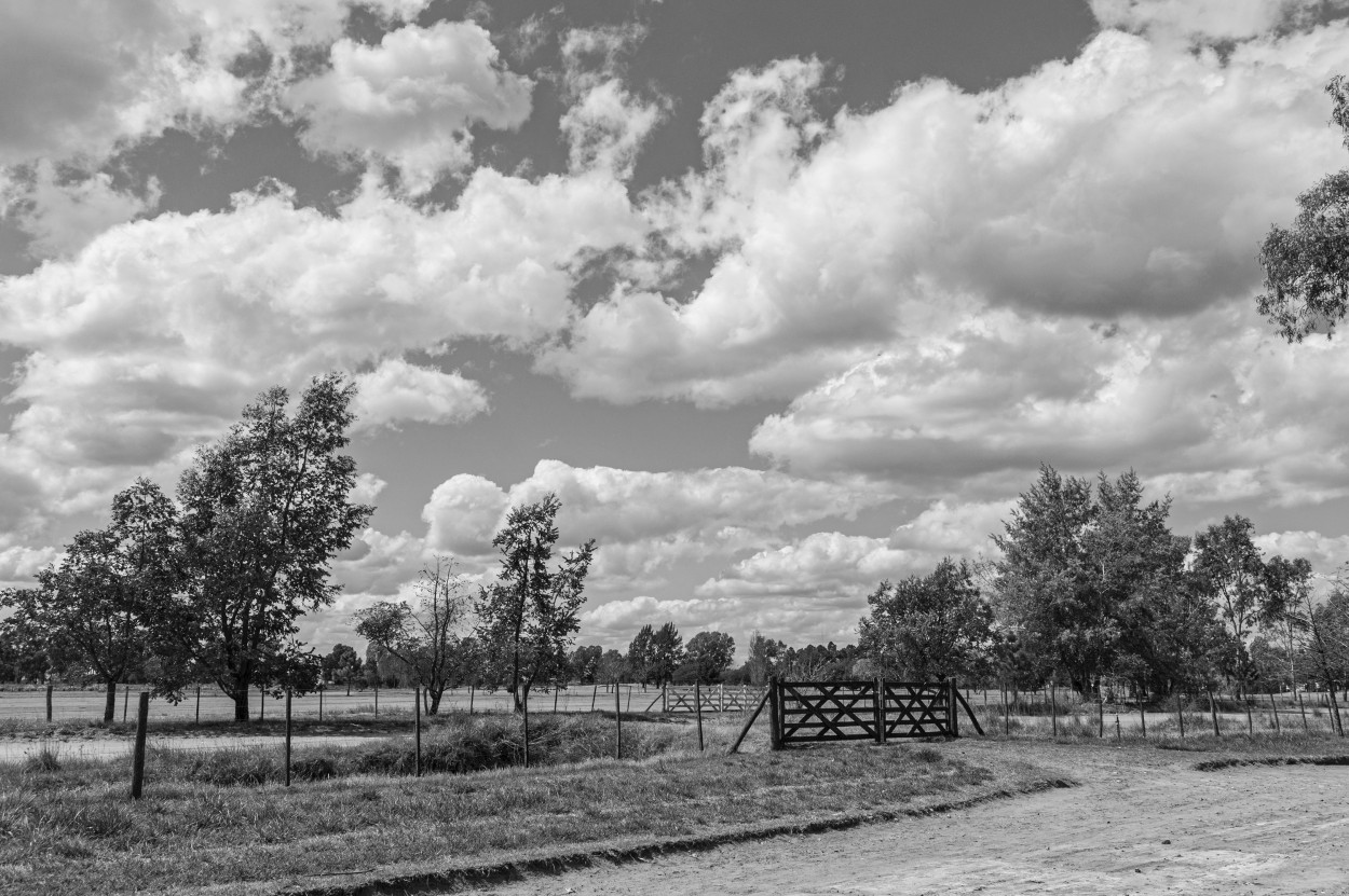 "Campo y cielo" de Fernando Valdez Vazquez