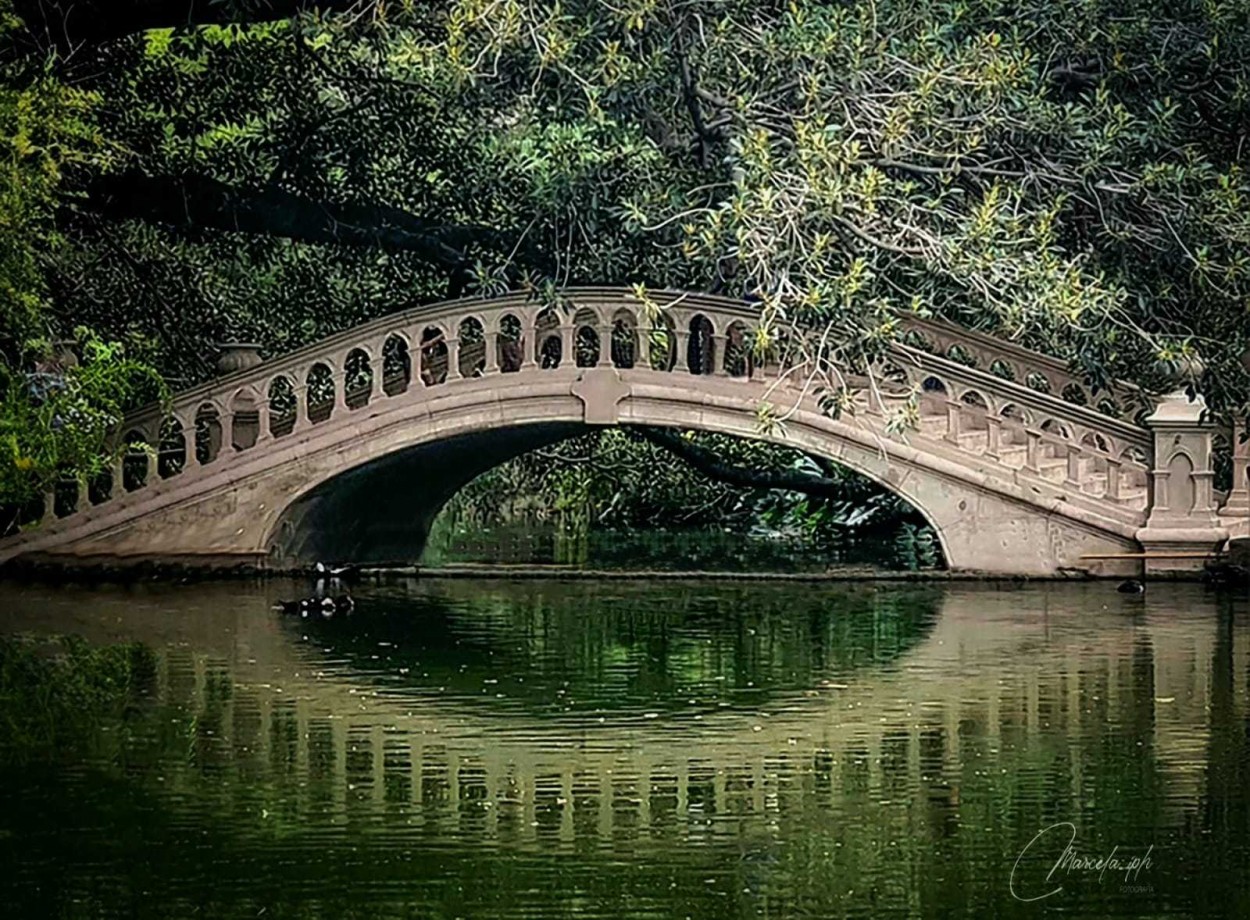 "El reflejo" de Marcela Incarnato