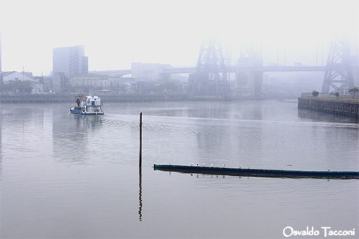 "Hacia la niebla" de Osvaldo Eduardo Tacconi