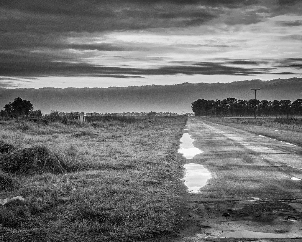 "La lluvia y el amanecer" de Fernando Valdez Vazquez