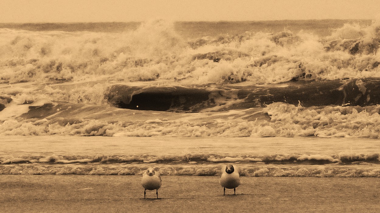 "Mar de Invierno" de Kile Zabala