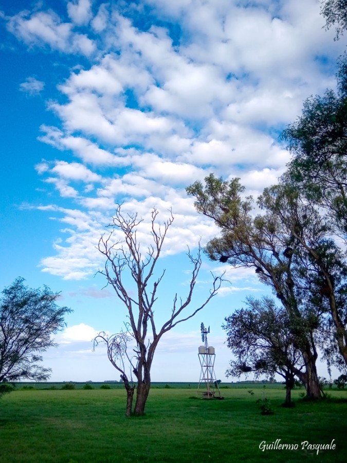 "Persiguiendo nubes" de Guillermo Daniel Pasquale