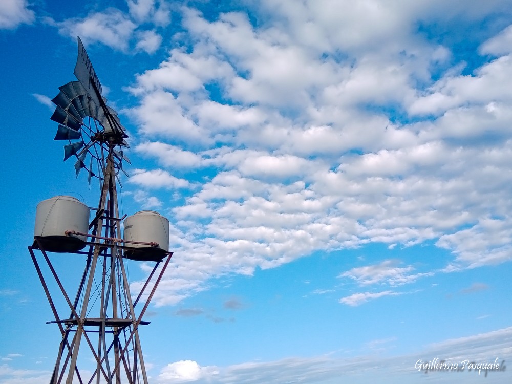 "Siguiendo Nubes" de Guillermo Daniel Pasquale