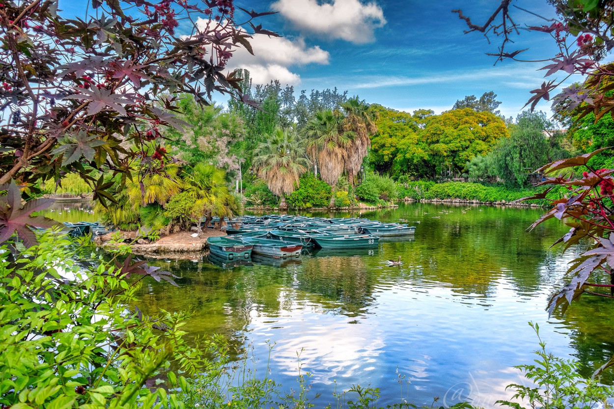 "Parc de la Ciutadella" de David Roldn