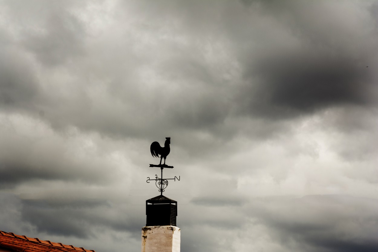 "veleta" de Gustavo Melica