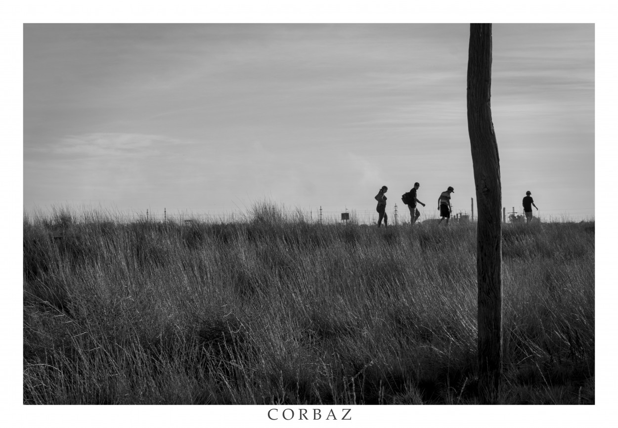 "Caminantes" de Alberto Corbaz