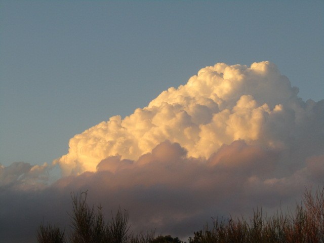 "La nube" de Miguel Angel Palermo