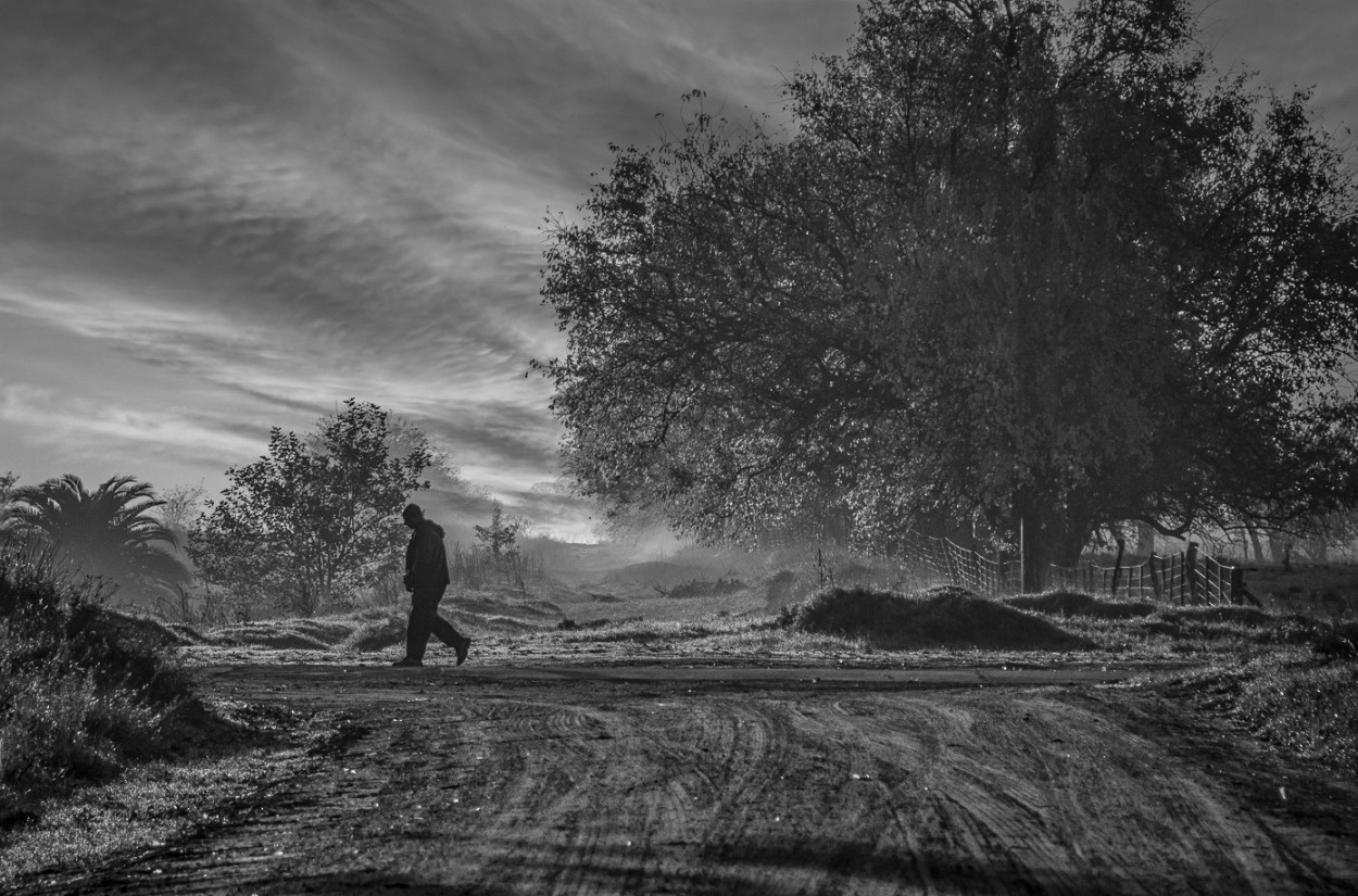 "Cruzando la calle" de Fernando Valdez Vazquez