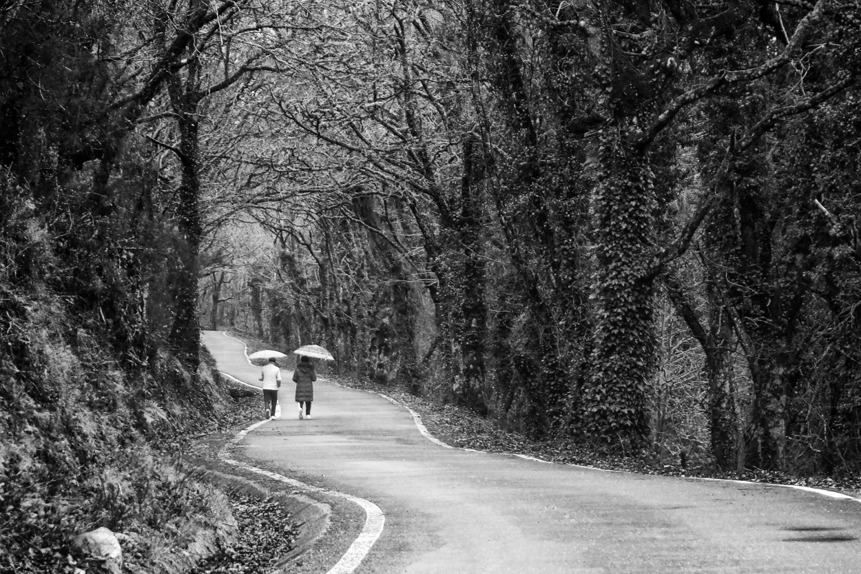 "Caminos de asfalto" de Emilio Jose Mariel