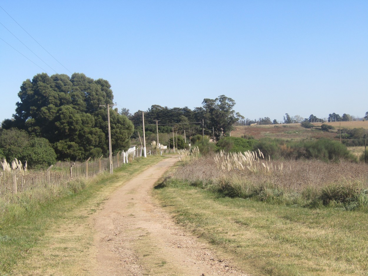 "Alambre y camino" de Miguel Angel Palermo