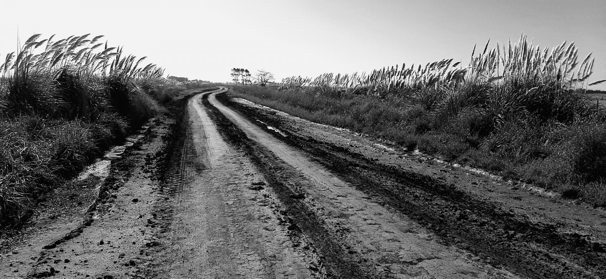 "Camino a Nahuel Ruc (Ptdo.de Mar Chiquita)" de Juan Carlos Viegas